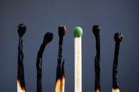 bigstock-Line-Of-Burnt-Matches-And-One--286040245